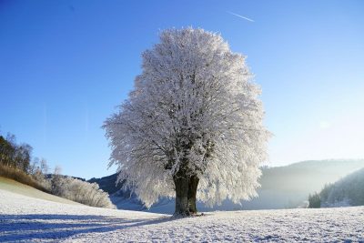 День зимового сонцестояння 2022: значення свята та його традиції