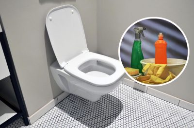 Чтобы в туалете всегда было чисто: 2 важных правила ухода за ершиком