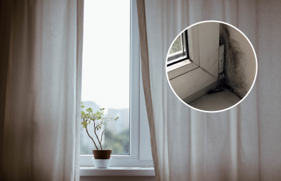 окно, плесень окно, плесень