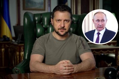 Владимир Зеленский, Владимир Путин