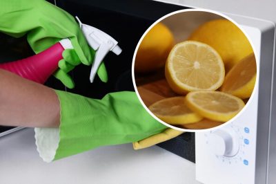Микроволновка, микроволновая печь, лимон, лимонный сок