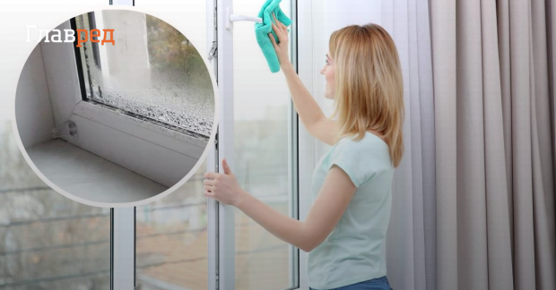 Как убрать конденсат на окнах – самый простой способ без усилий - Главред