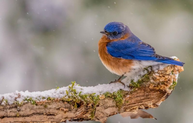Мільйонери ніколи не робили 3 речі 18 січня: прикмети і заборони, які можуть забрати всю удачу