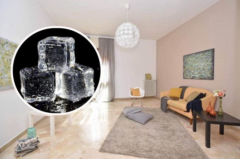 Навіщо потрібно класти кубики льоду на килим: ефективний лайфхак, відомий небагатьом