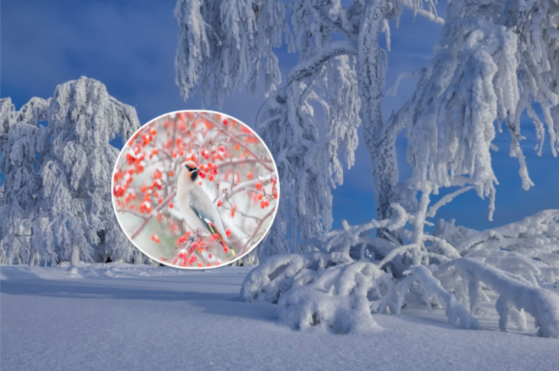 Атака нового похолодання: синоптики попередили про різку зміну погоди в Україні