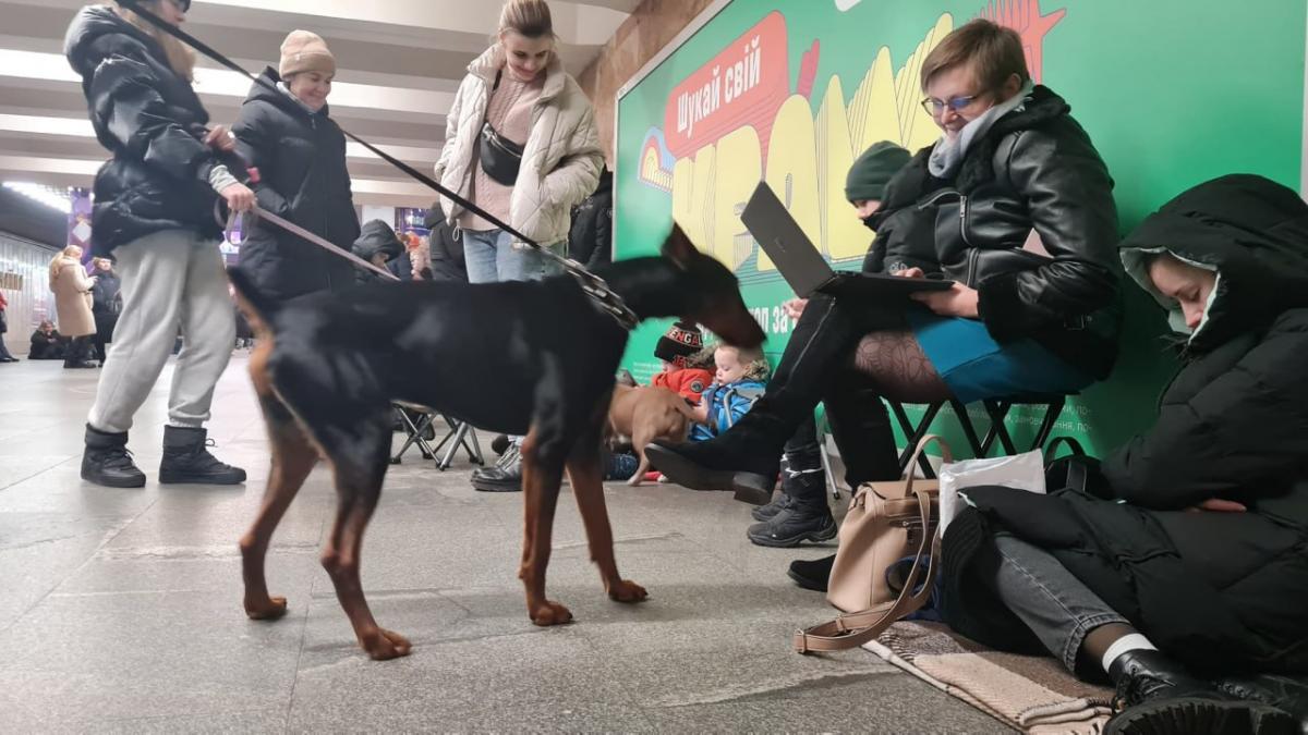 В Киеве прогремели мощные взрывы, над городом дым: что известно на данный момент