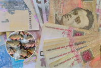 Пробивают потолок: в Украине рекордно взлетели цены на еще один любимый продукт