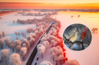 Україна перетвориться на ковзанку: синоптик розповіла про сильний мороз і назвала дату потепління