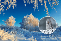 Повертаються морози: синоптик розповіла, чи буде в Україні рання весна