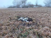 РФ била ракетами по Україні, але уламки впали в Молдові - МВС