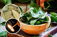 5 причин, почему нужно жечь лавровый лист дома: вы будете удивлены