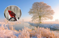 В Україні різко похолодає: синоптик назвала дату наближення жахливої погоди