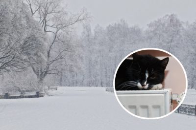 Україну накриє похолодання з опадами: синоптик вказала дату