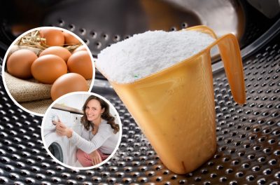 Як перевірити якість прального порошку за допомогою курячого яйця: ви будете здивовані