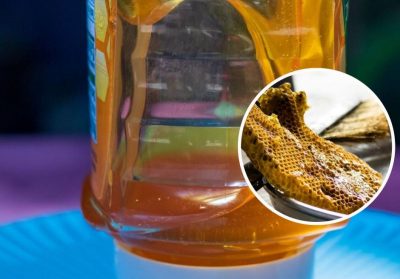 Солодке життя: як зрозуміти, що мед зіпсувався і що робити зі старим продуктом