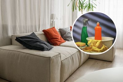 Чим почистити диван від плям: 3 ефективні способи, від яких ваші меблі сяятимуть