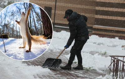 Нарешті сніг: в Укргідрометцентрі розповіли про погоду на початку лютого