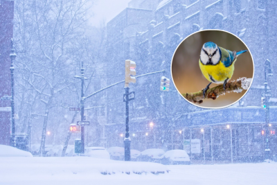 погода в Україні, прогноз погоди