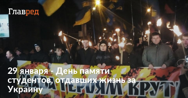 Glutamine Micronized �������: ����.