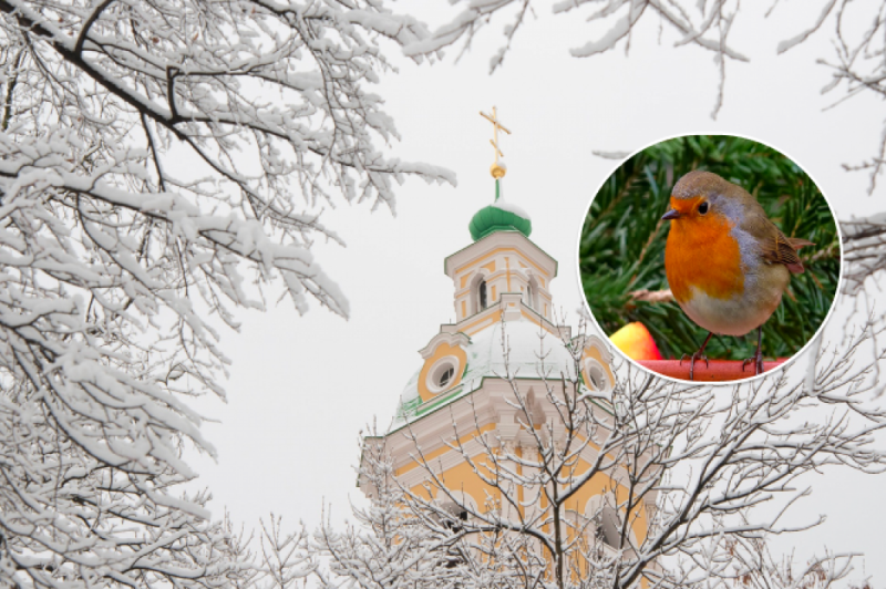 Какие 2 вещи нельзя нарушать на Рождество 2023, чтобы беду не привлечь: приметы на 7 января