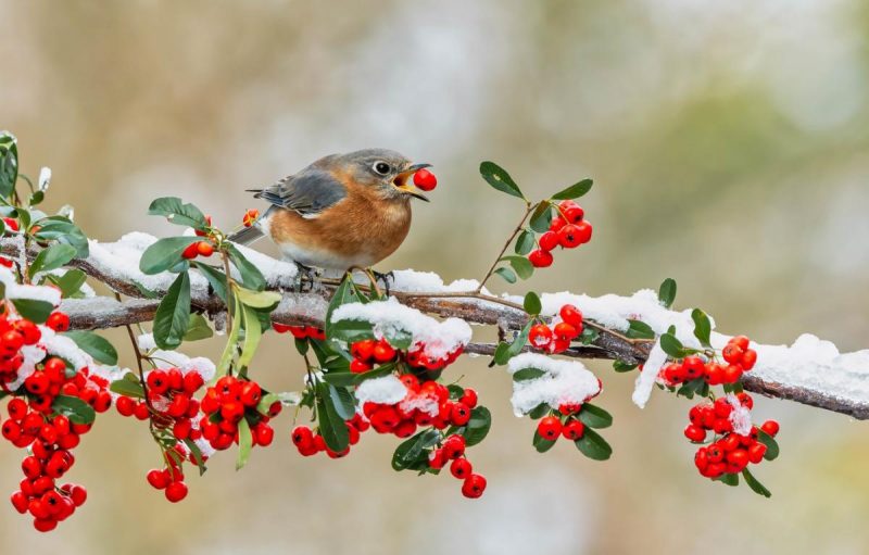 Найстрашніший день року: прикмети на 11 січня і що не можна робити, щоб нещастя не залучити