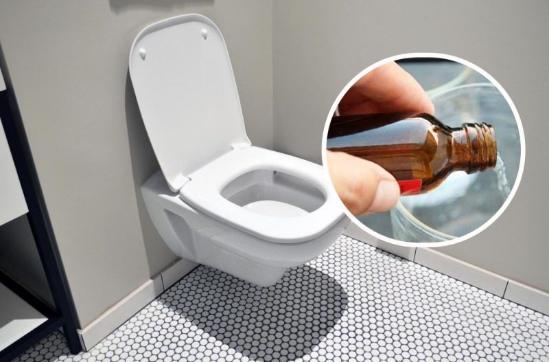 Зачем заливать в унитаз борную кислоту на ночь: утром вы его просто не узнаете