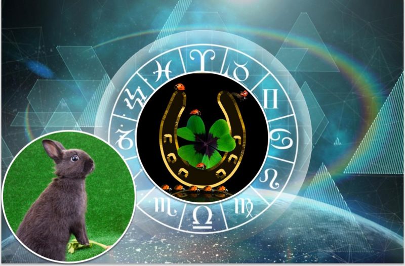 Кроличья лапка на удачу: ТОП-3 знака Зодиака, которым точно повезет в 2023 году