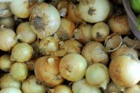 Вперше за всю історію незалежності: ціна на цибулю в Україні досягла рекордної позначки