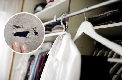 Щоб не з’їли улюблений одяг: 3 ефективні способи, як позбутися від молі у шафі