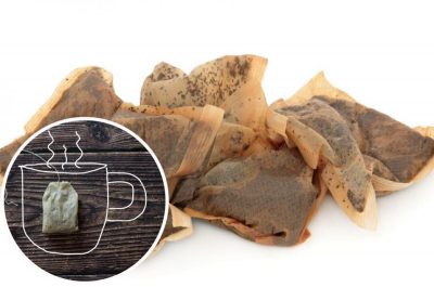 Для чего можно использовать чайные пакетики: как сэкономить и принести пользу хозяйству