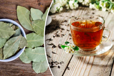 Зачем лавровый лист добавляют в чай: шикарный рецепт из СССР