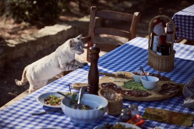 Как отучить кошку воровать еду со стола: 4 рабочих способа