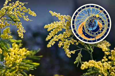 Гороскоп на завтра 1 марта 2023 Гороскоп на завтра 1 марта 2023