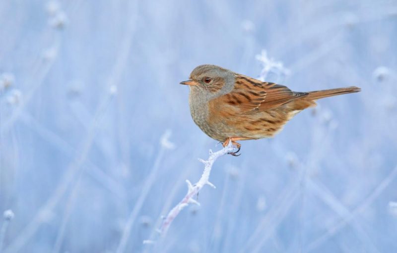 Чому 20 лютого не можна сидіти одному за кухонним столом: прикмети і суворі заборони