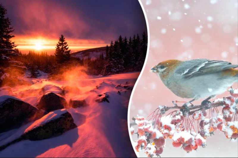 Ворвется ураган: погода в Украине кардинально изменится - синоптики