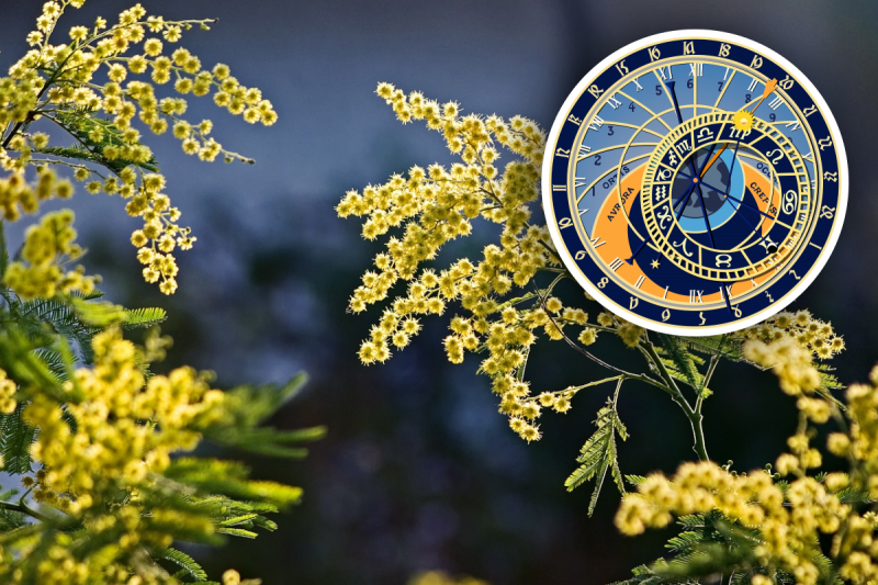 Гороскоп на сьогодні 1 березня 2023: Стрільцю - ризик, Тельцю - провокації