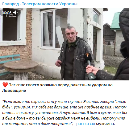 'Если бы не он, меня бы уже не было': пес спас своего хозяина перед ракетным ударом на Львовщине