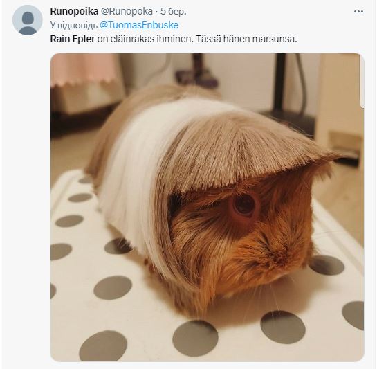 Прическа эстонского политика Рейна Эплера