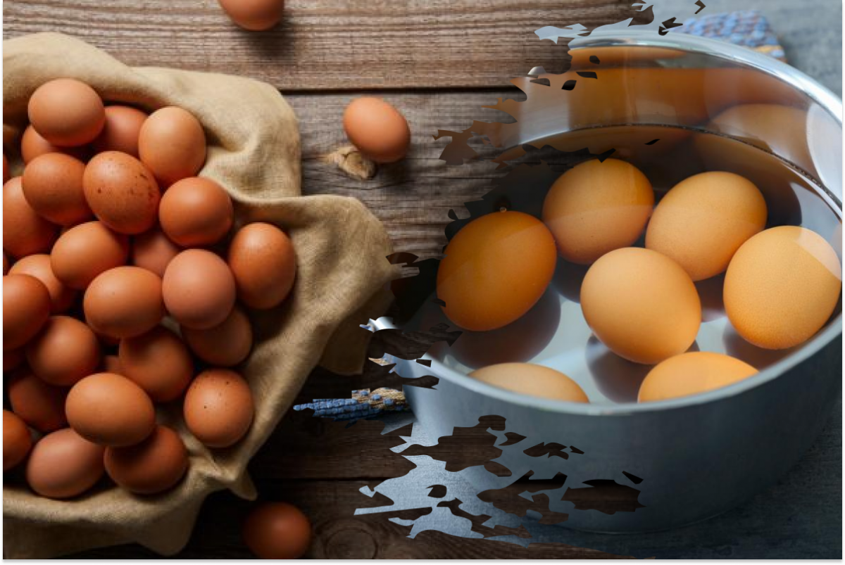 Основні правила при варінні яєць