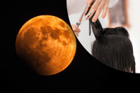 9 дней, когда нельзя прикасаться к свои волосам: Лунный календарь стрижек на март