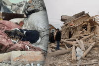 Пес не отходит от разбитой кровати хозяев: россияне убили две семьи на Львовщине