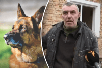 Якби не він, мене б уже не було: пес врятував свого господаря перед ракетним ударом на Львівщині