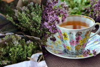 Кому не можна пити траву чебрець: посилює проблеми і хвороби