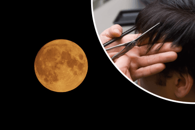 5 днів квітня, коли не можна стригти волосся: місячний календар стрижок