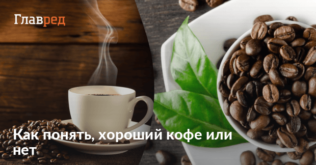 Как определить хороший кофе – простые советы для кофеманов - Главред