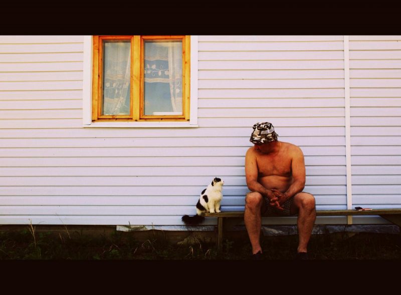 О чем говорят кошки: как понять питомца и нужно ли ему отвечать