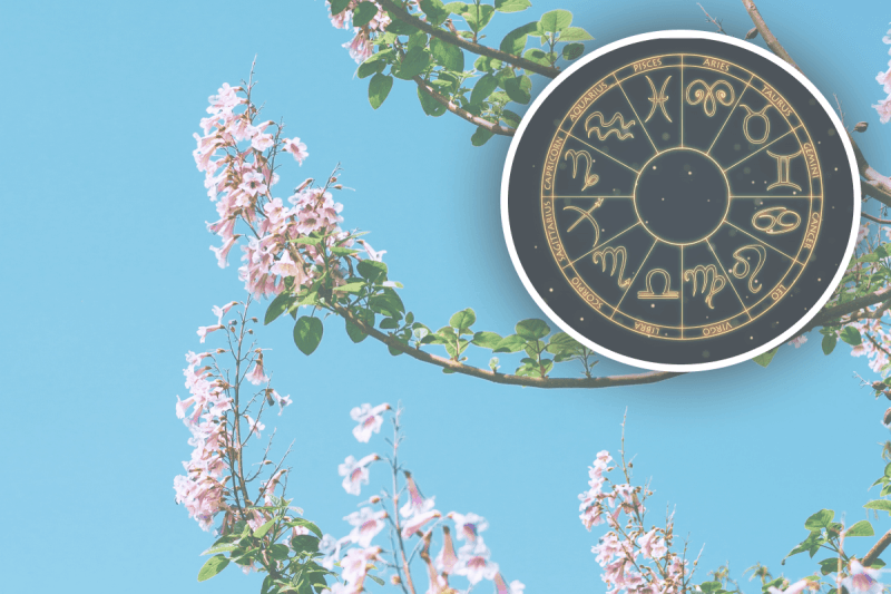 Гороскоп на тиждень 3-9 квітня 2023: Стрільцям - недуга, Близнюкам - фінансові проблеми