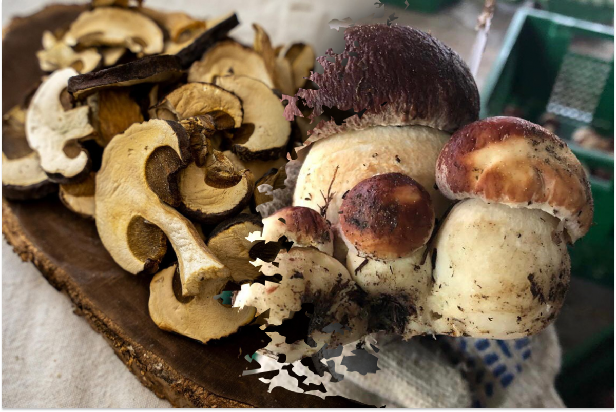 Шматочки сушених грибів для смаку