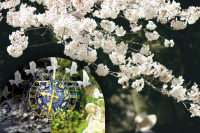 Астролог попередила про потужні випробування в квітні для кожного знака зодіаку - гороскоп