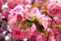 На Київ чекає погодний сюрприз: температура різко зміниться